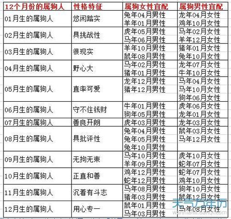 狗跟什么生肖配对相冲:狗与什么生肖最配 与什么相冲