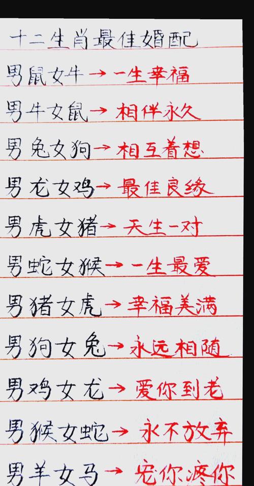 2002年属什么生肖最佳配偶:2002年属什么生肖最佳配偶呢