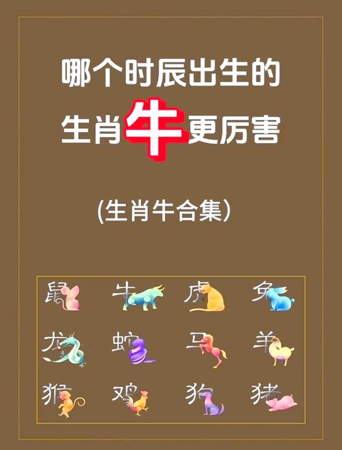 今期生肖有牛头打一数字:2021年今期牛头报图片