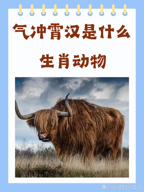 “牛背兔顶望一二，骏马羚羊博物流”打一个生肖动物的简单介绍