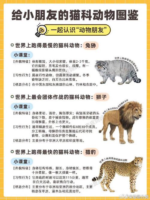 “细皮嫩肉”是什么生肖动物:稳中求进工作总基调稳和进的重点分别是