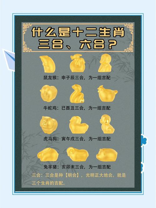 今期生肖三三开指什么数字:今期生肖三三开指什么数字?
