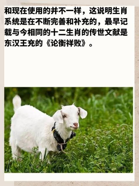 今期生肖带红花是什么生肖动物呢:今期生肖带红花是什么生肖动物呢图片
