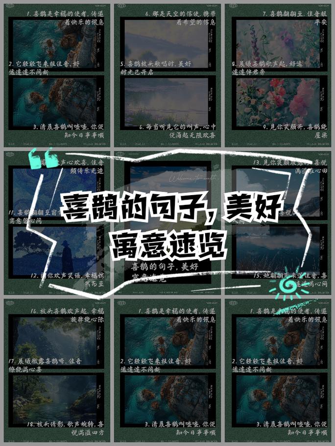 三六今期报佳音正确答案:今知三四来求亲得出二四和三六