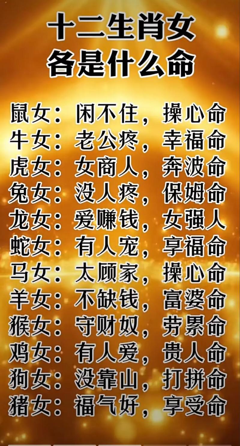 包含“疏疏朗朗”指什么生肖的词条