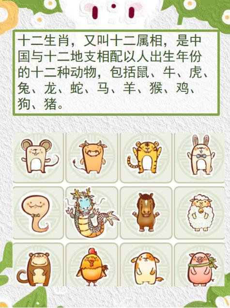 今期生肖九字头的生肖是什么动物:今期生肖九字头的生肖是什么动物呢