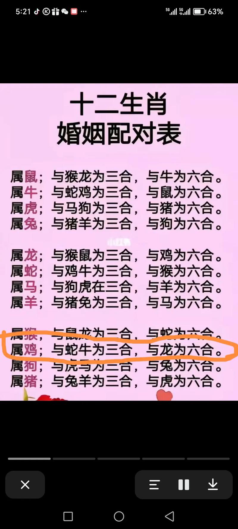 关于“手到擒来”打一准确生肖的信息