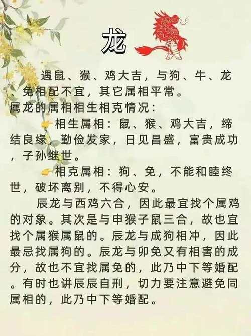 88年属什么生肖配对最好呢:88年属的最佳配偶属相是什么