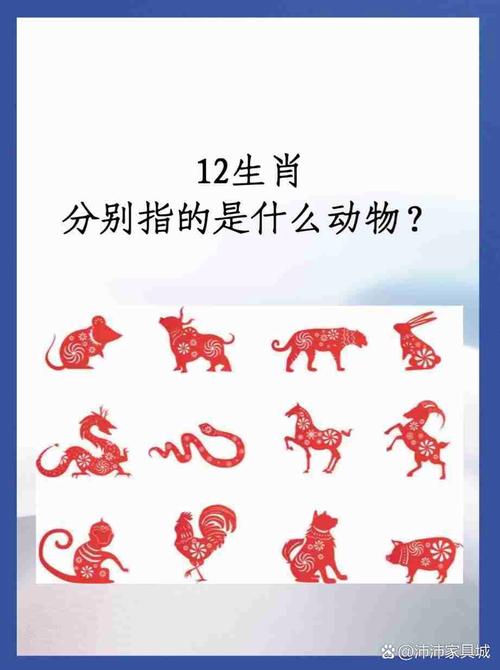 “猪狗为王鼠前锋男儿不惧风雪雨”是什么生肖动物的简单介绍
