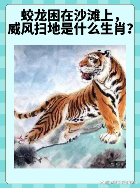 今期生肖最威风打一生肖动物的简单介绍