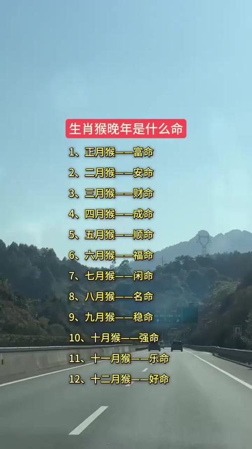 今期生不力俱尽是什么生肖:今期生肖力千钧是指什么生肖
