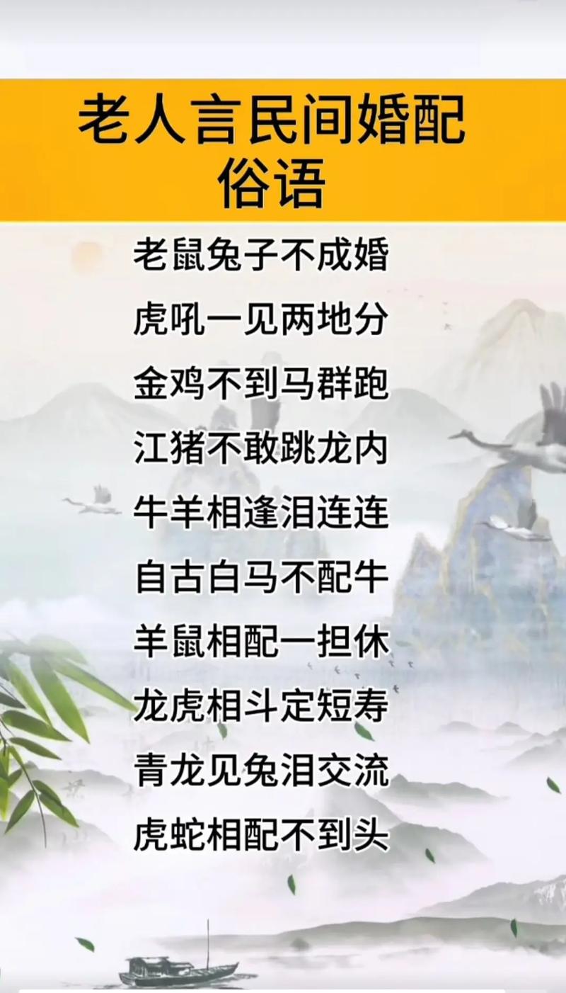 今期生肖兴土木,羊前蛇到龙中间:今期生肖兴土木,羊前蛇到龙中间打一肖