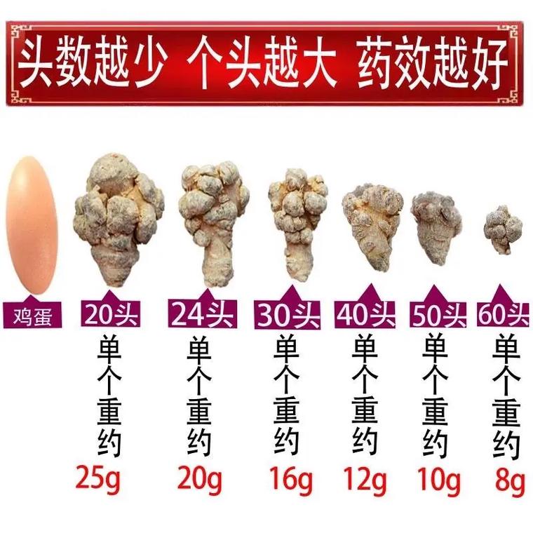 三七出特今期来打一准确数字的简单介绍