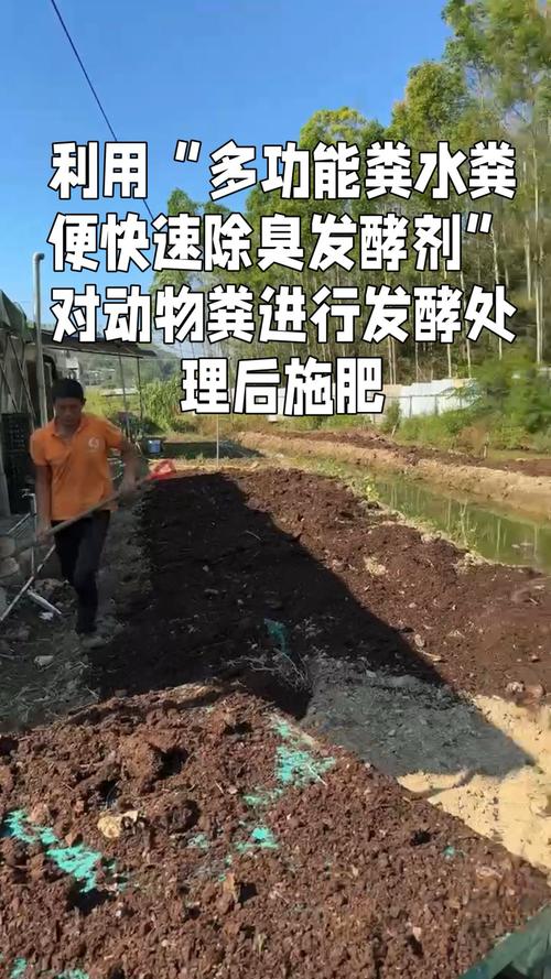 堆肥的毒性有多强:堆肥对环境有特殊要求吗