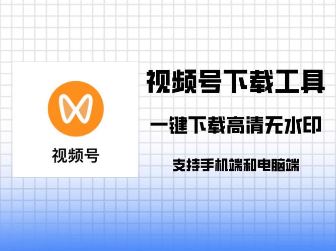 关于tg下载的视频在哪里的信息