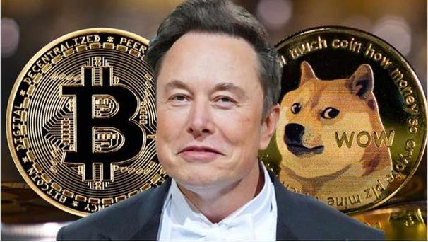 马斯克和狗狗币的关系:马斯克和狗狗币的关系图