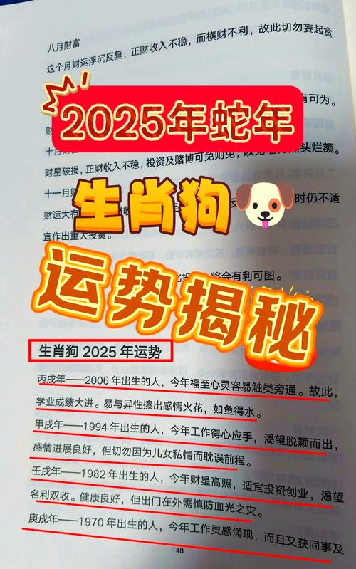 2026属狗全年完整运气:2026年狗人的全年运势如何