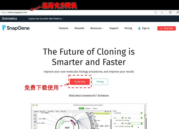 snapchat下装安装最新:spicychatai官方下载
