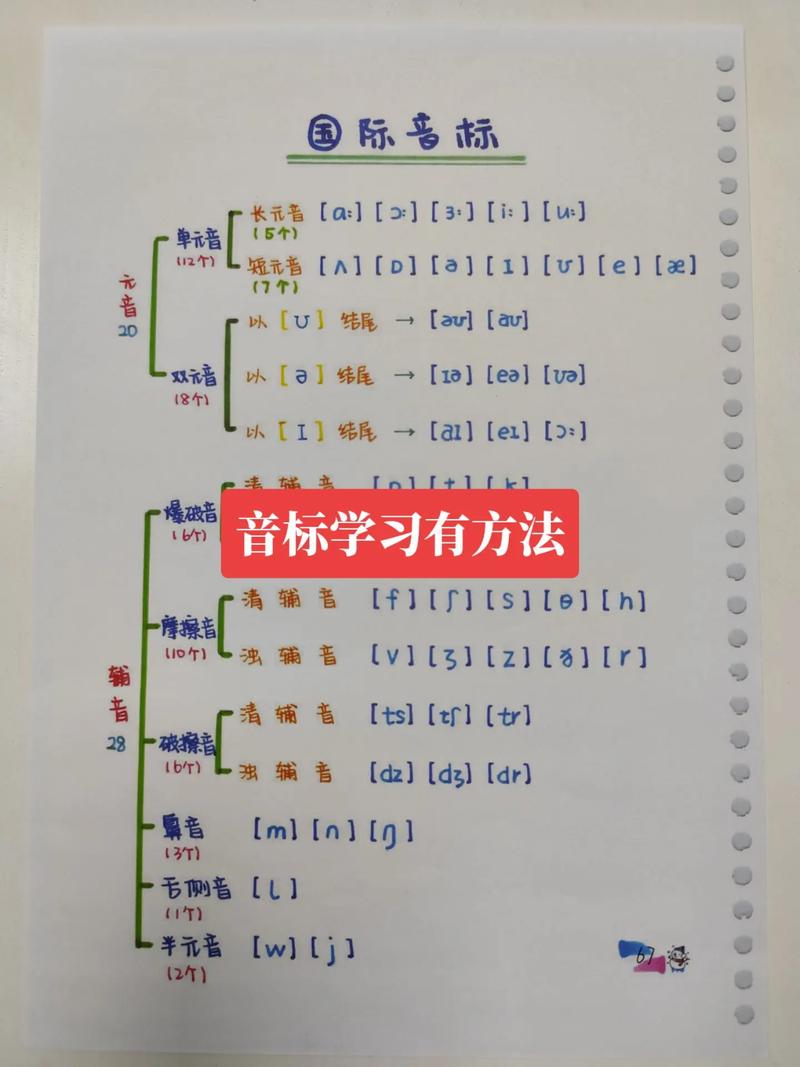 lineup音标:line音标怎么读