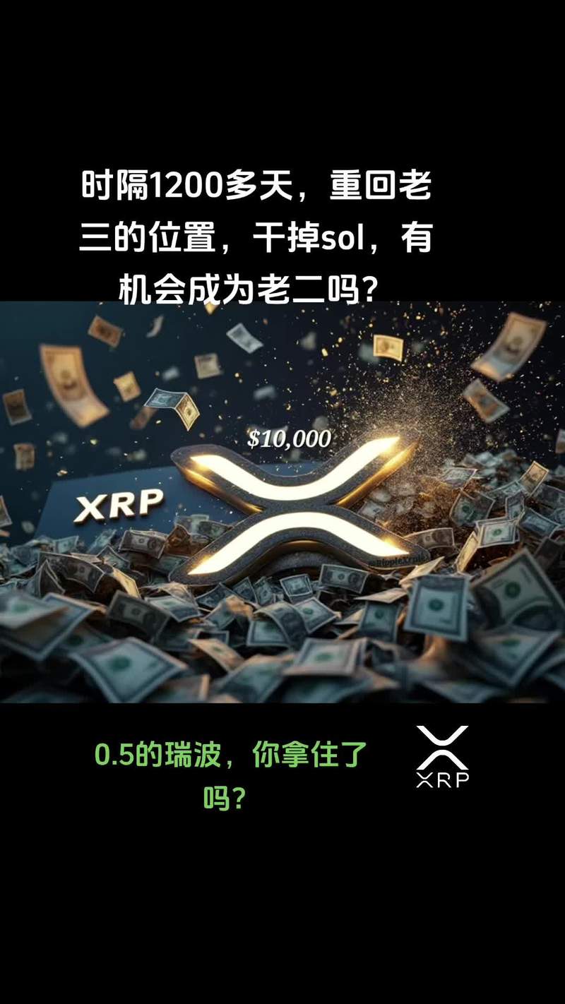 瑞波币未来会几百一个:瑞波币未来能涨到多少钱