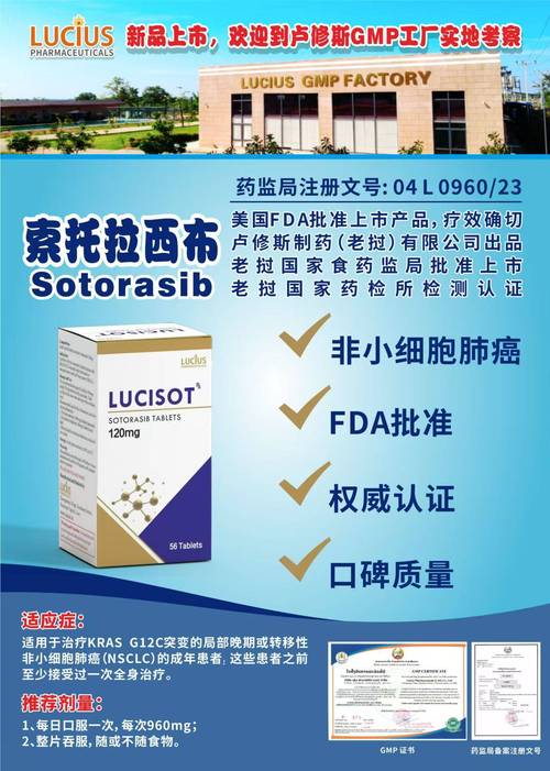 索拉纳是什么药:索拉光伏什么意思