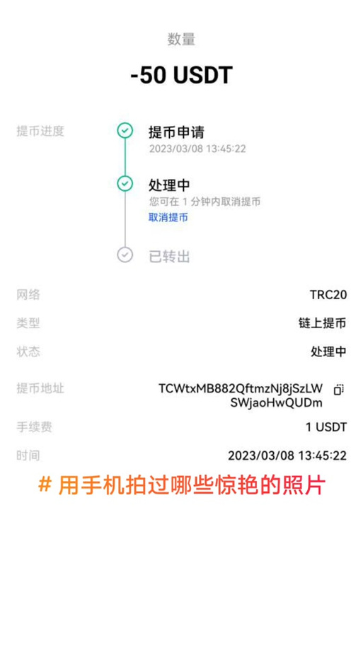 trc20提币地址怎么填:trc20提币一直正在处理