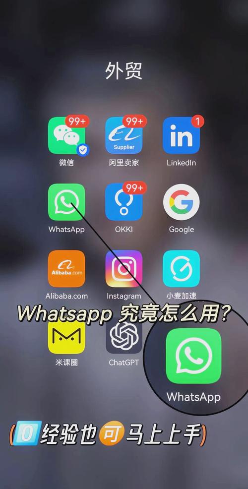 whatsapp安卓版手机下载:whatsapp安卓手机版下载v22020624免费下载