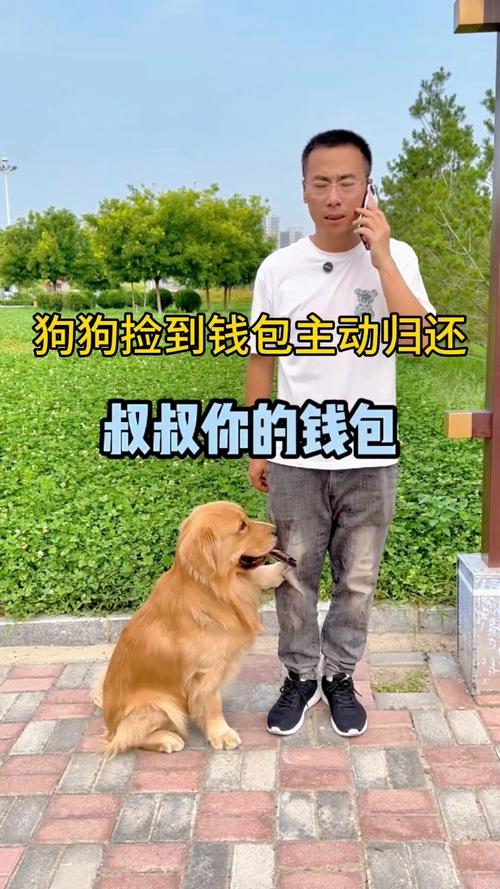 狗狗宝钱包下载最新版:狗狗宝钱包官方最新消息