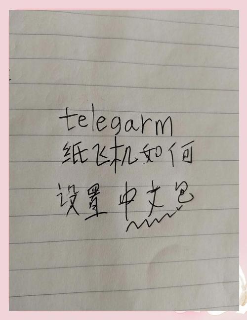 纸飞机怎么开权限:纸飞机怎么开启开车模式