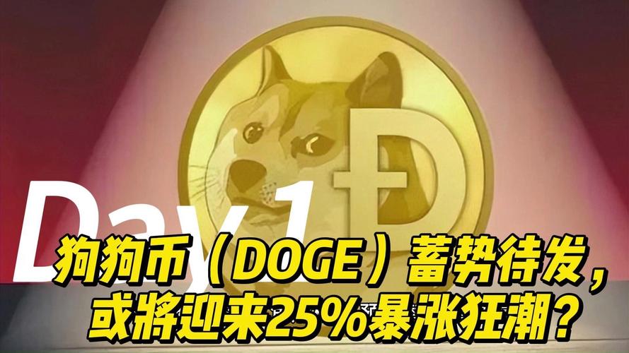 狗狗币还有升值空间吗:狗狗币以后有没有上涨的空间