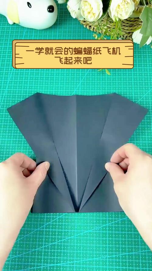 蝙蝠app和纸飞机哪个好:蝙蝠app和纸飞机哪个好一点