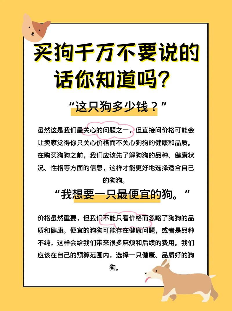 1狗比等于多少人民币:狗比人值钱视频今日关注