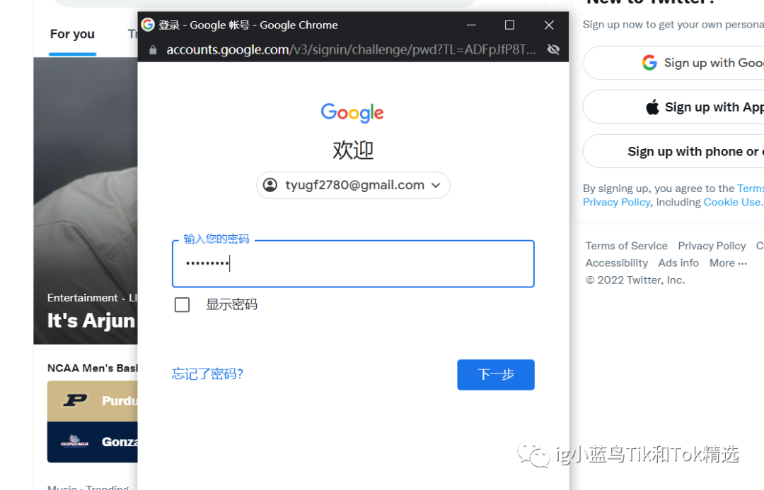 推特中文版下载_推特中文版下载安装