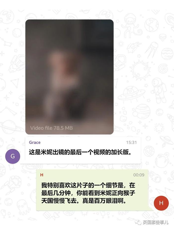 telegeram怎么找老板对接的简单介绍