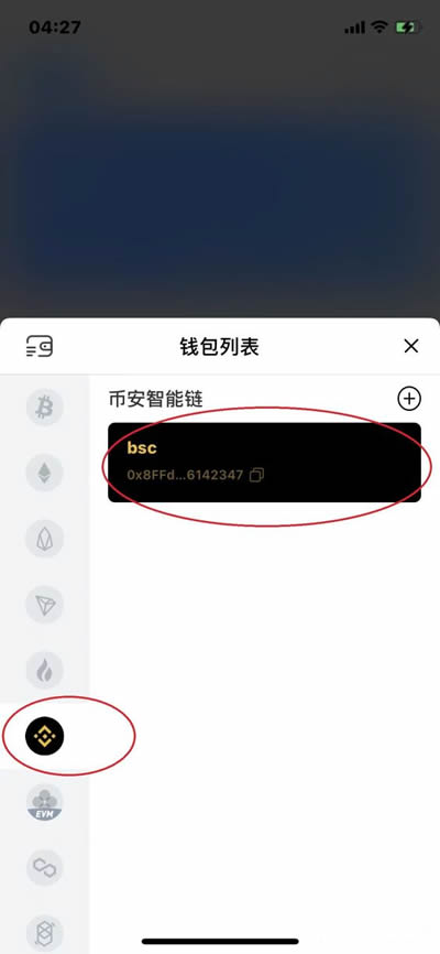 tp钱包怎么看钱包地址_tp钱包怎么查看前10地址