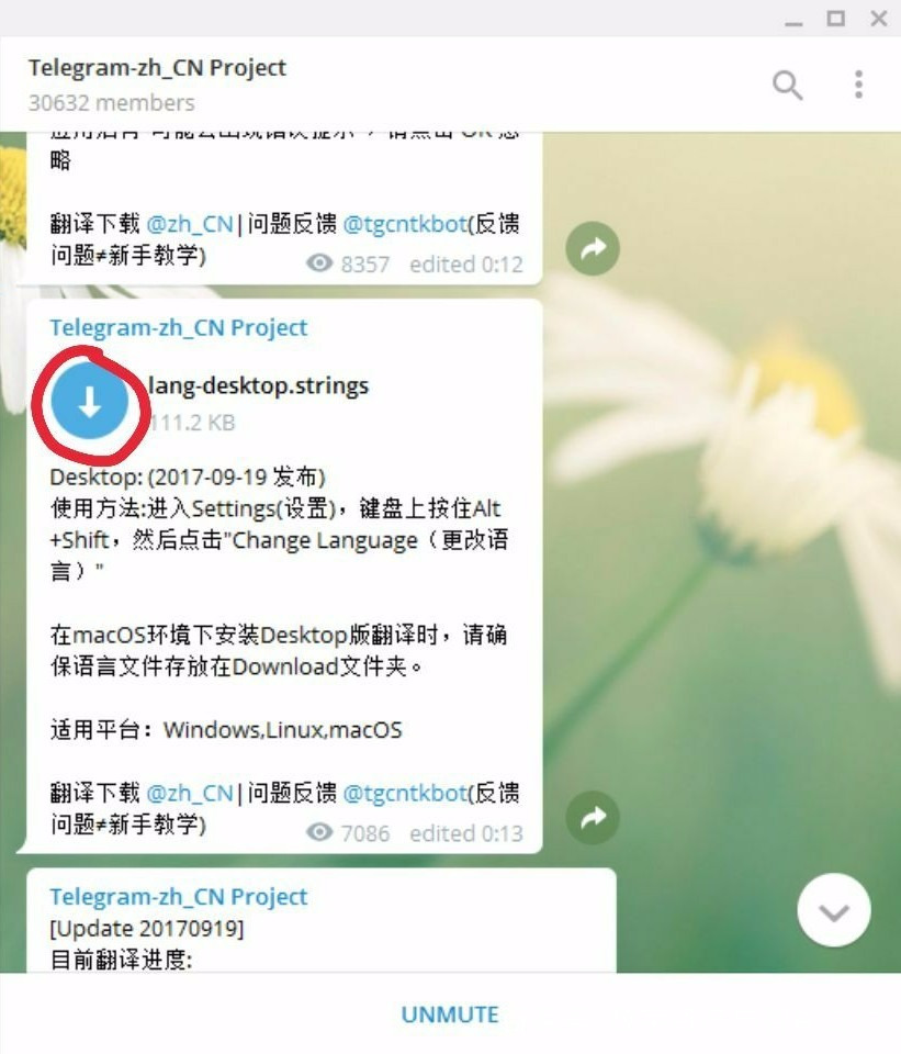 telegtram下载_telegraph纸飞机加速器