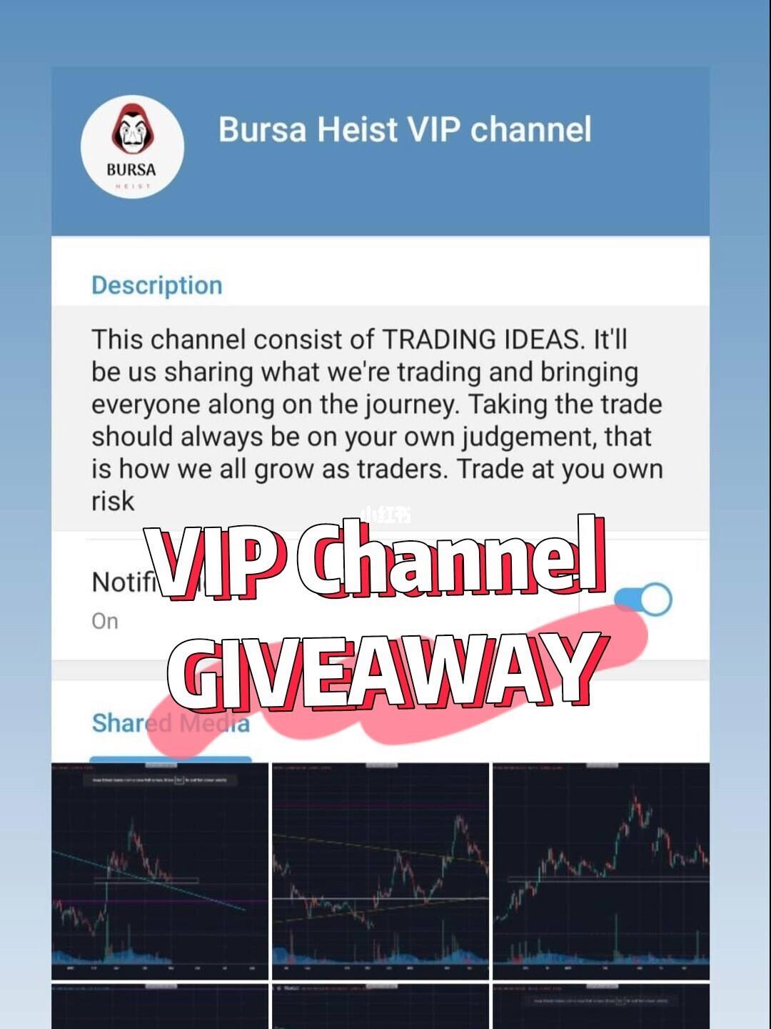 关于telegram的channel怎么看的信息