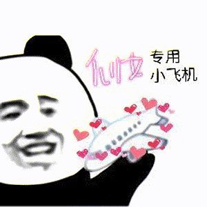 飞机中文语言包链接_飞机的中文包怎么下载