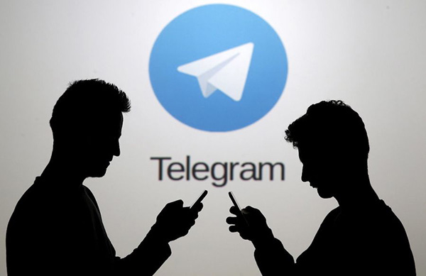 telegramz_telegram怎么收不到短信验证