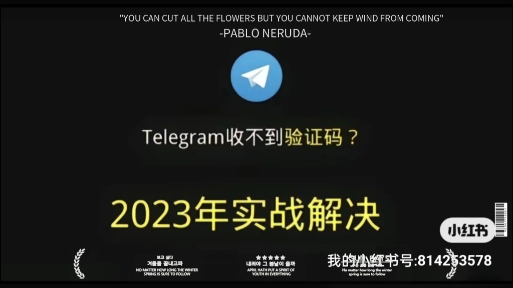 纸飞机收不到短信验证码_纸飞机收不到短信验证码怎么登录