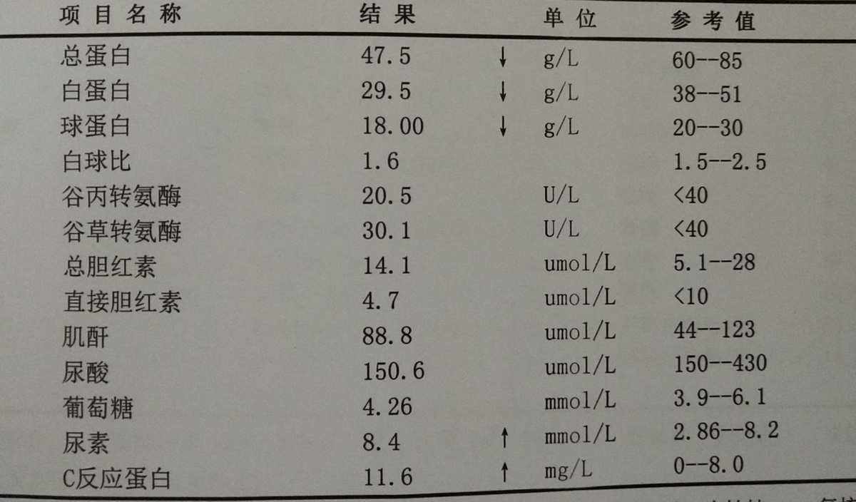 血生化TG_血生化TG正常值
