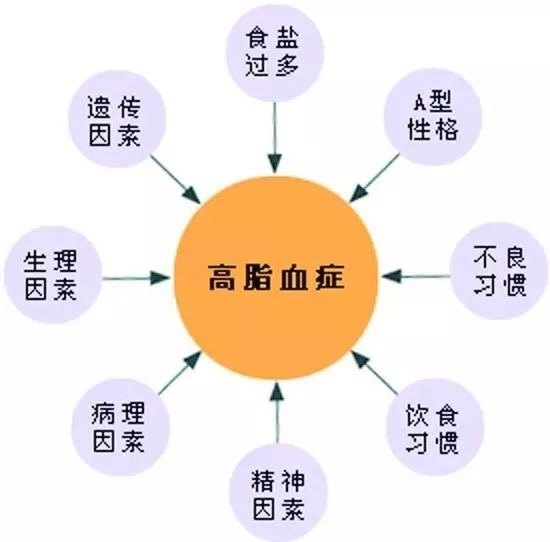 TG高于多少称为高血脂_成人TC高于多少称为高血脂