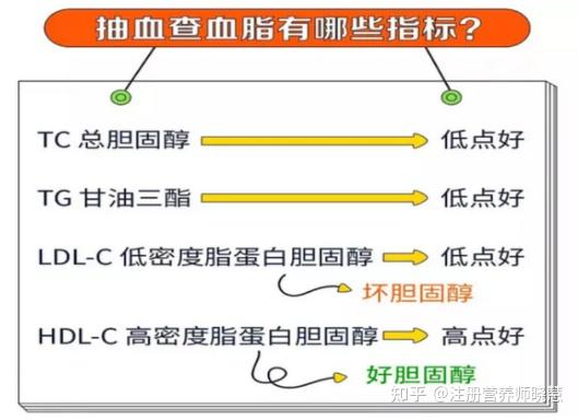 TG高于多少称为高血脂_成人TC高于多少称为高血脂