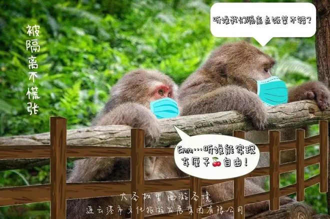 花果山电报猴消音视频_花果山电报侯无消音视频