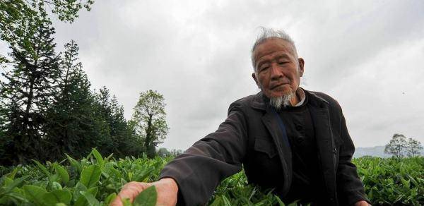 周大爷是电报员吗_周大爷,68岁,今晨随老年团外出登山旅游