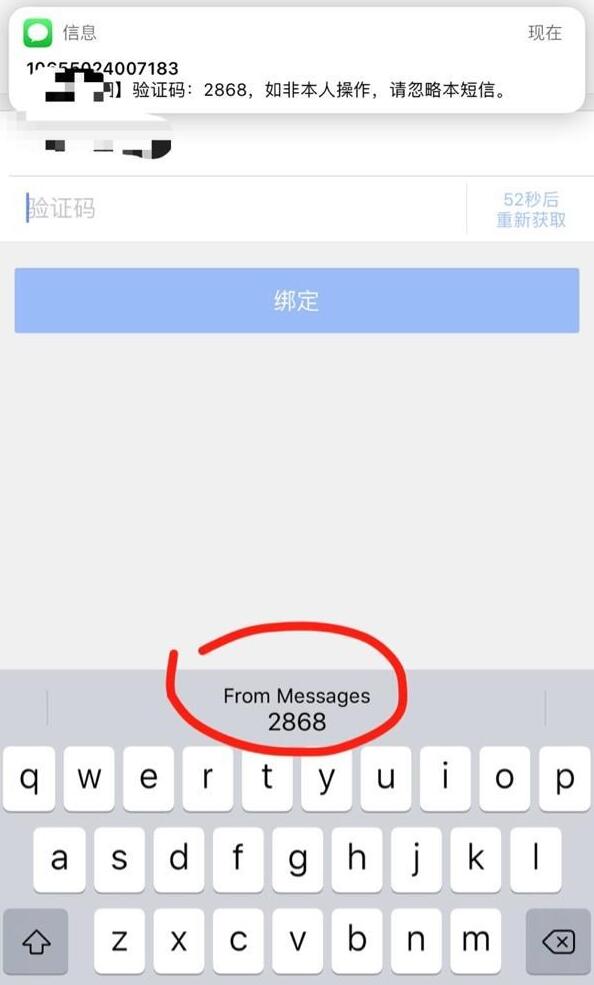 苹果下载飞机软件收不到验证码怎么回事_苹果下载飞机软件收不到验证码怎么回事儿