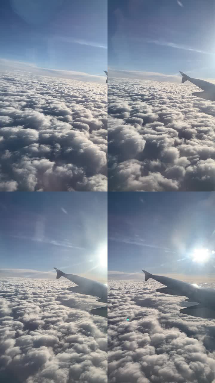 飞机下载的视频在哪找_飞机上缓存的视频可以看吗