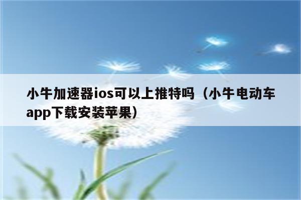 小牛加速器永久免费版_小牛加速器永久免费版下载