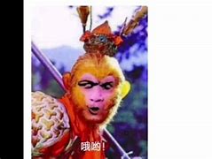 花果山无消音电报员_花果山电报员搞笑视频