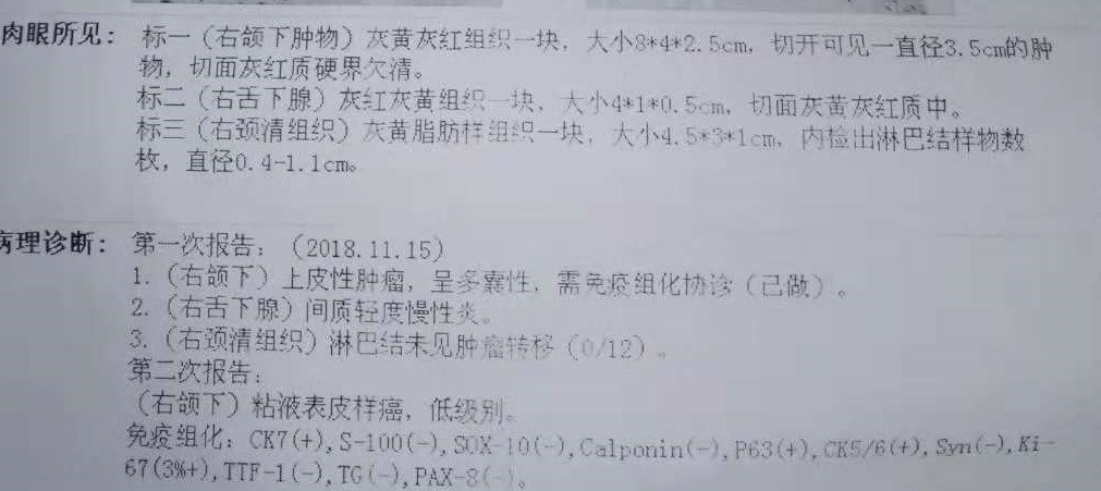 营养学TG是什么意思_营养学中的gl是什么意思